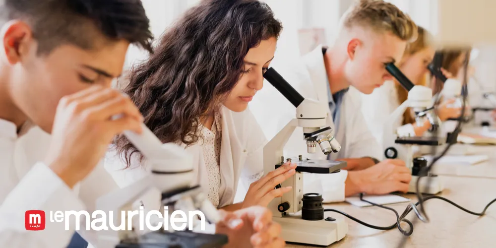 EDUCATION | School Certificate 2026: Puzzles for practical classes in science subjects