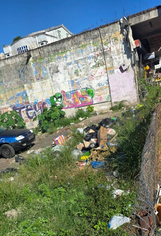 Wild dumps of rubbish in Buckingham (Stanley): Like in a pigsty