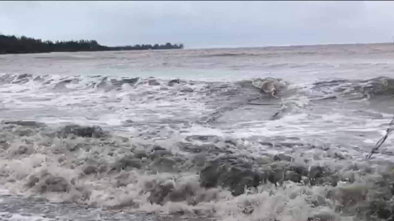 Weather: strong swell warning in force, sea trips not recommended