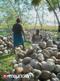 Coconut oil: Agaléga can no longer produce it