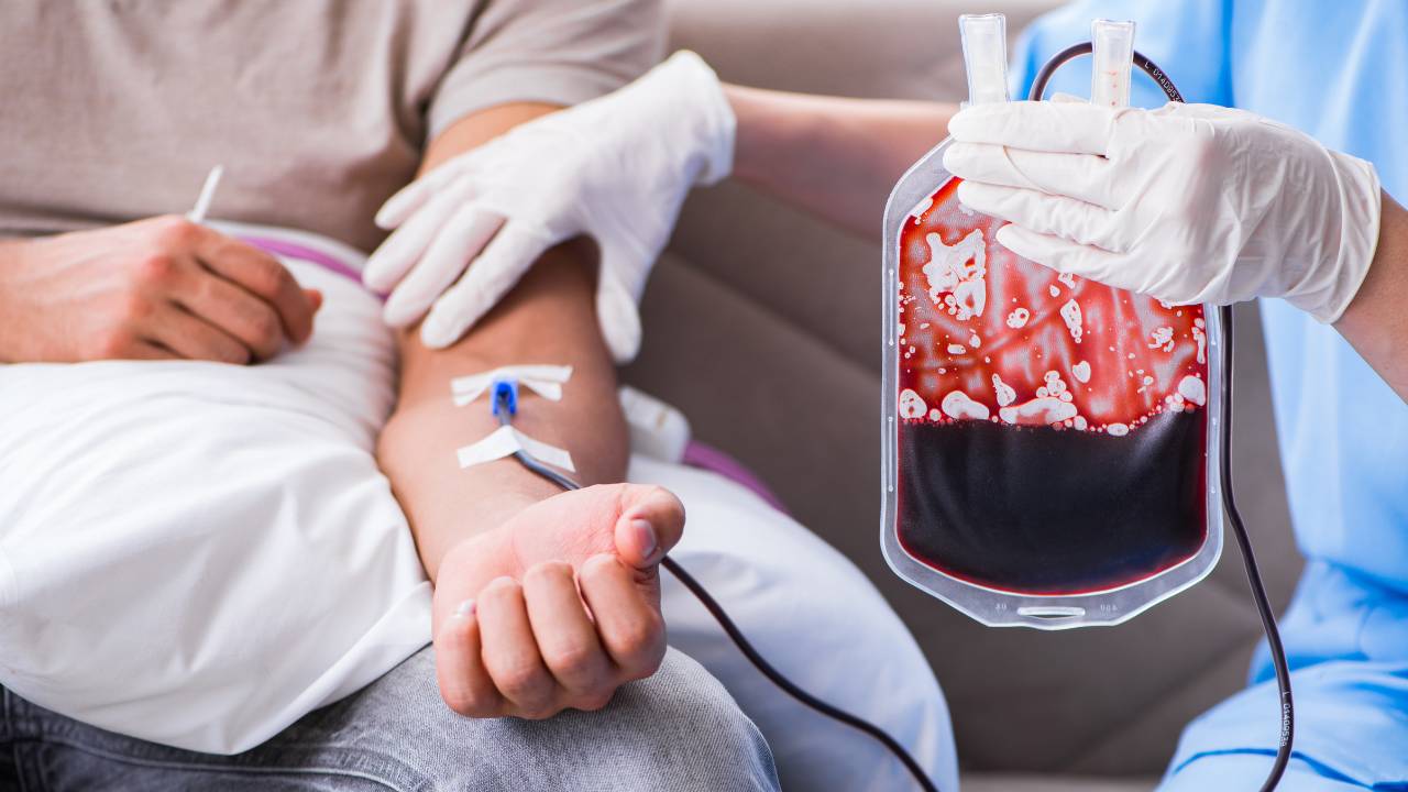 Blood donation: a peaceful march from Forest-Side to Curepipe this Monday