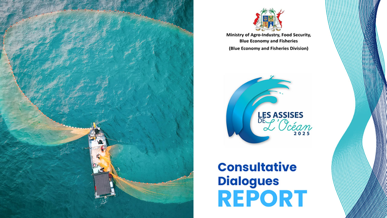 Report on the development of the blue economy: an ocean of promises and reefs of blockages