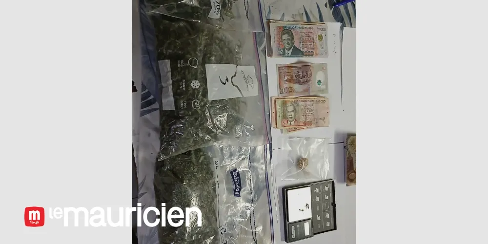 Flic-en-Flac – Possession of cannabis and suspicion of drug trafficking: a British national arrested