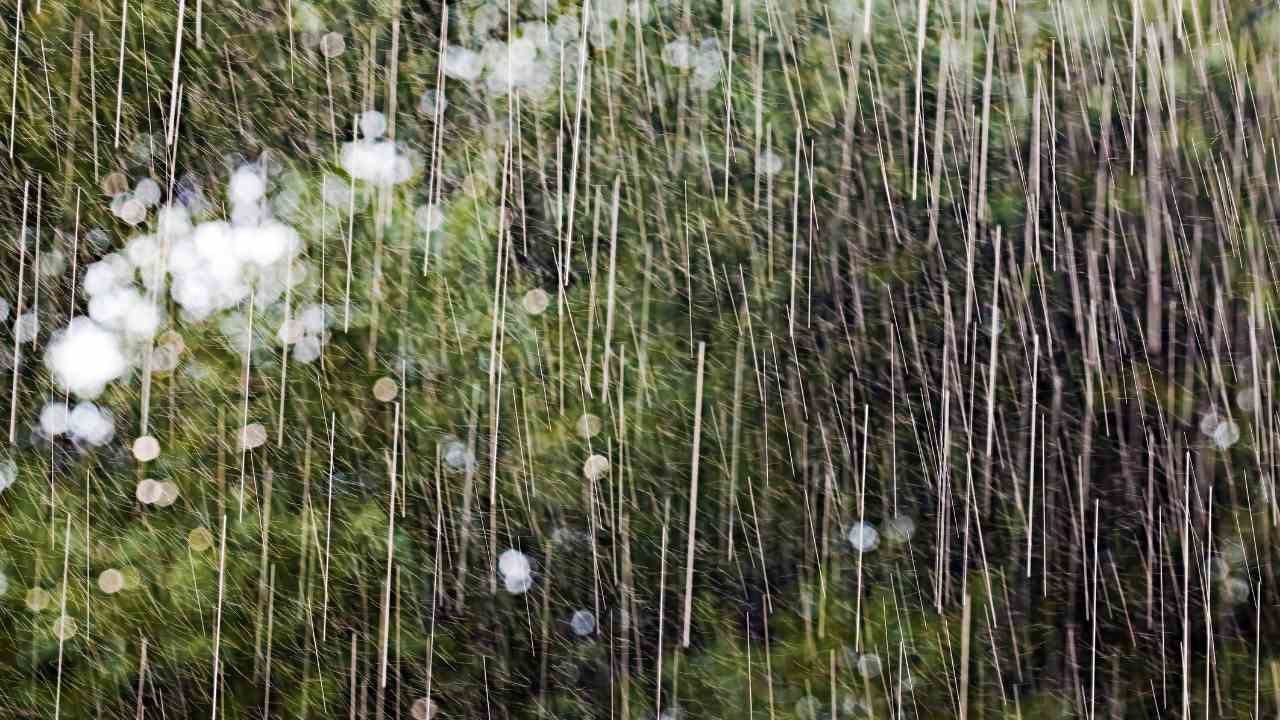 Rainfall: up to 82 mm recorded in some areas