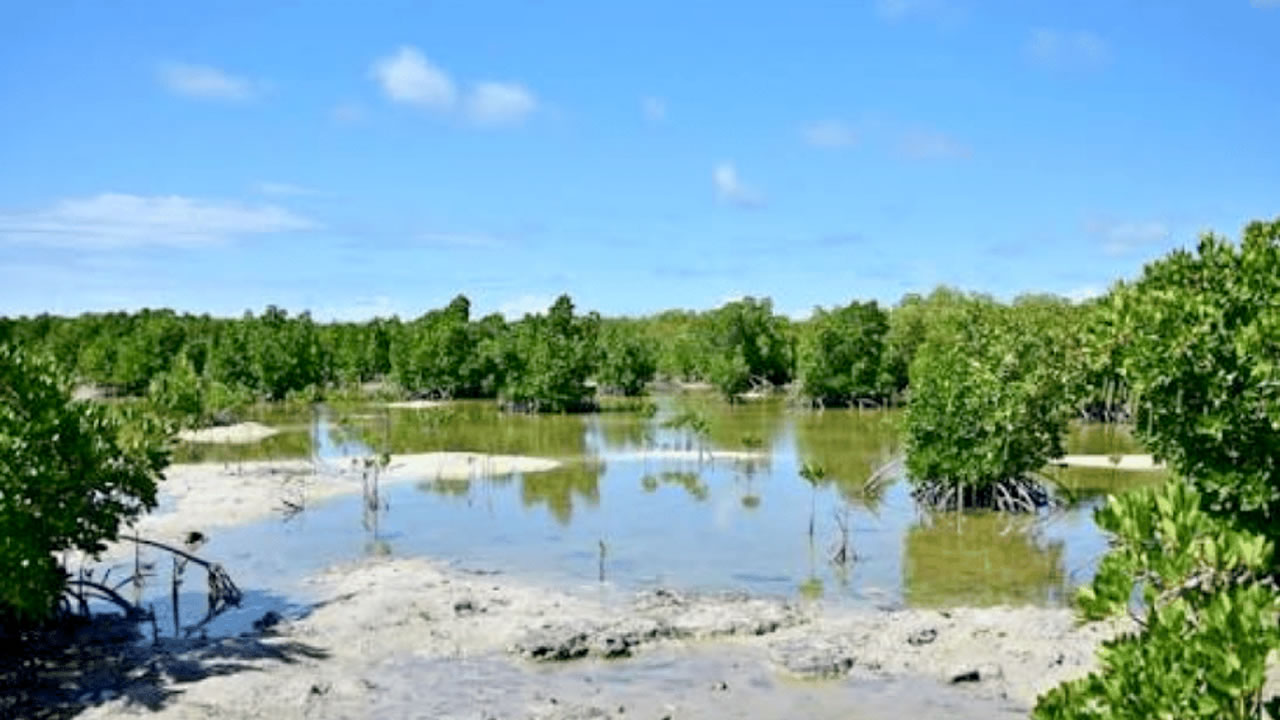 Wetlands Bill: the new rules of the game