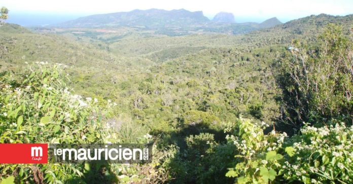 PLAINE-CHAMPAGNE: Three people lost while picking guavas