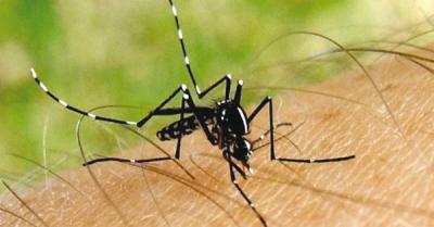 PUBLIC HEALTH: 168 active cases of Chikungunya