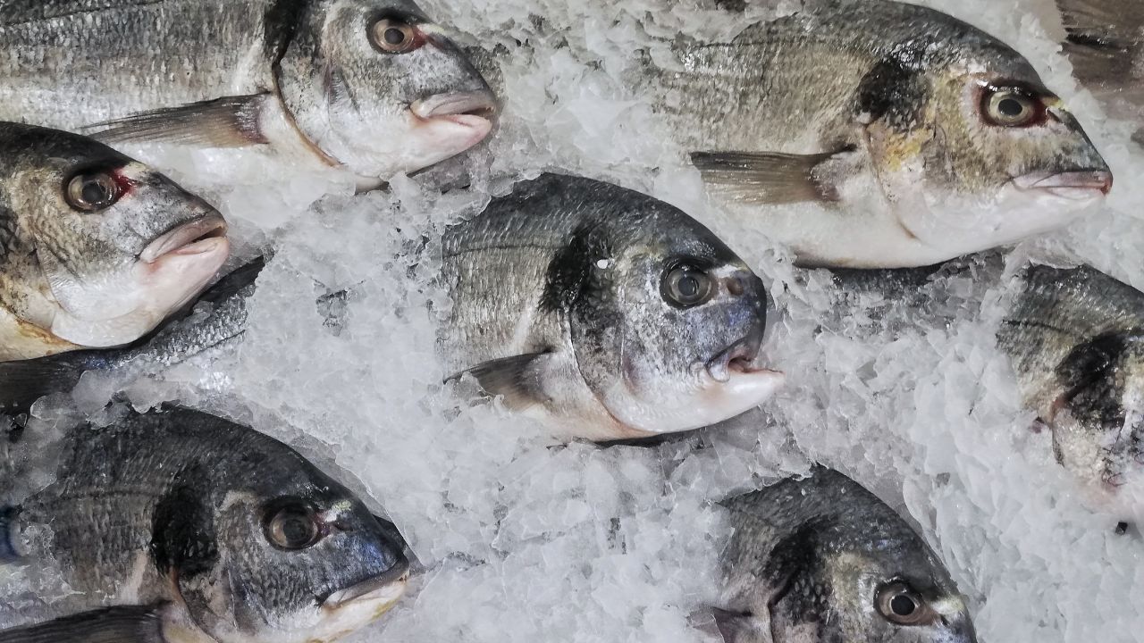 Fish business awarded to those close to Power: the most coveted contract