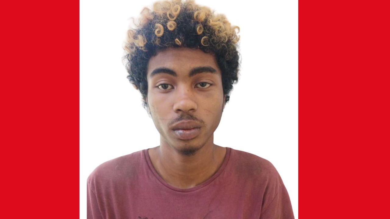 Indecent acts in Flic-en-Flac: an 18-year-old young man arrested