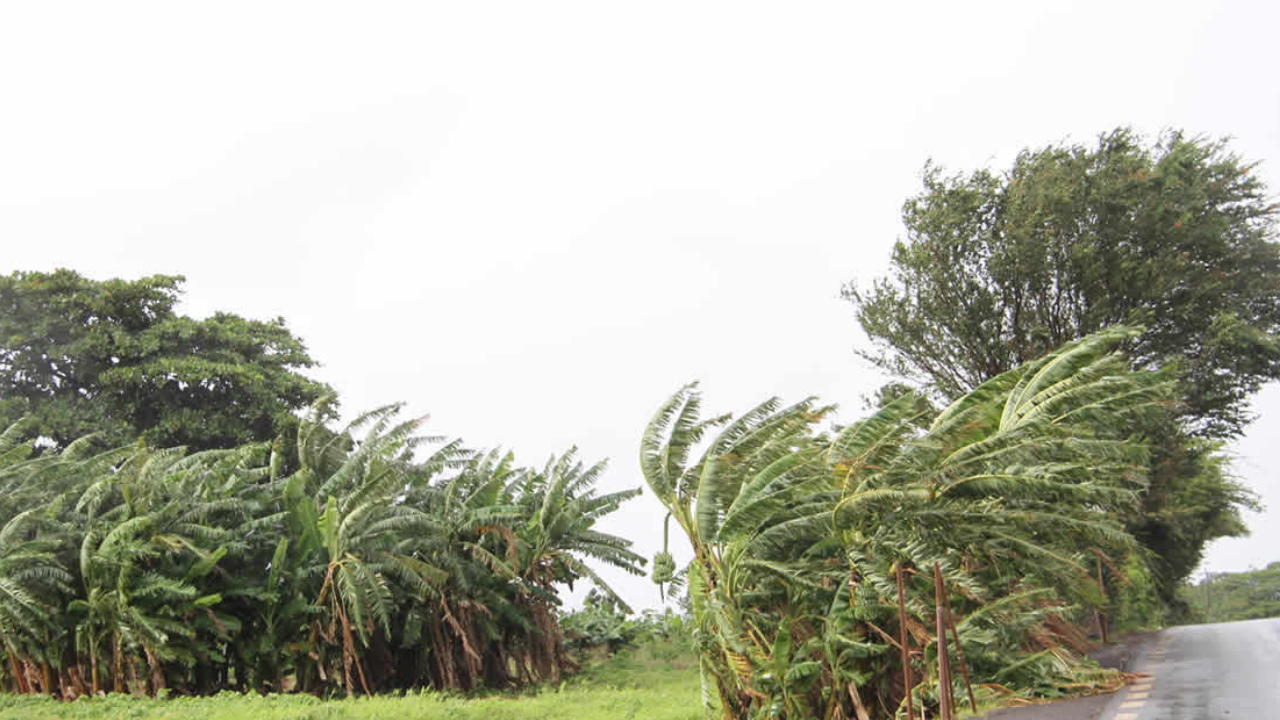 Weather: Mauritius under the influence of an anticyclone, gusts of up to 60 km/h expected