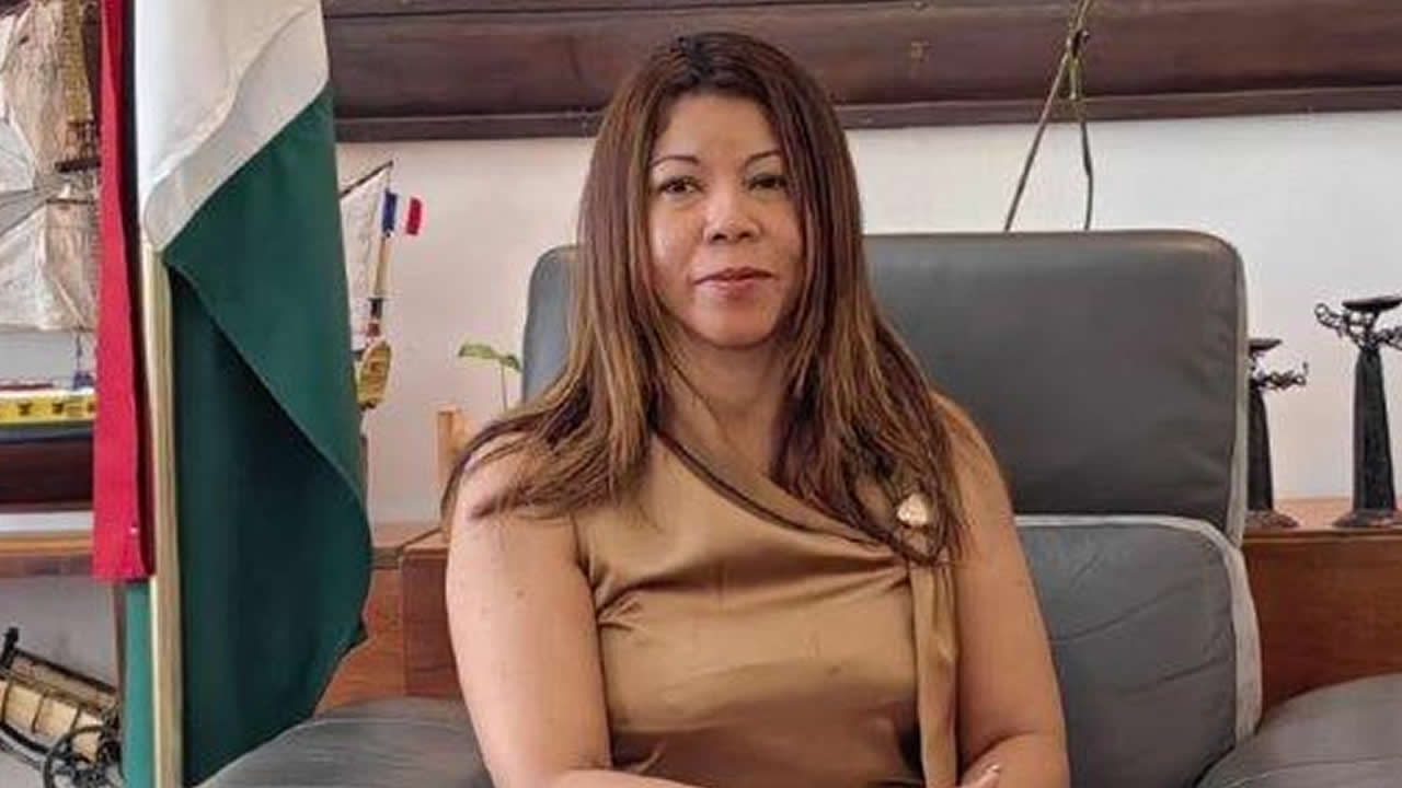 Mamy Ravatomanga - Fanirisoa Ernaivo affair: “The tycoon benefited from the protection of the old regime in Mauritius”