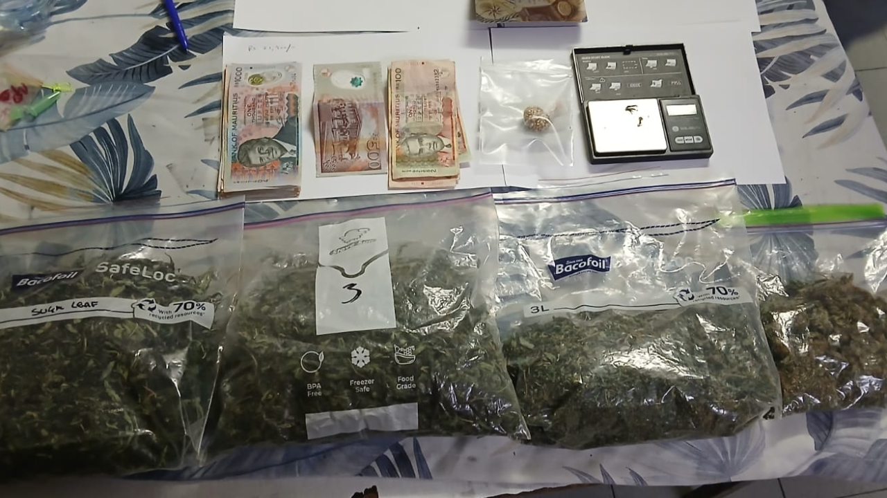 Flic-en-Flac: a British man arrested for cannabis trafficking